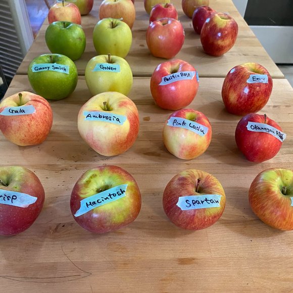 About me, Yoko (Yolanda) - Picture 5 of 16